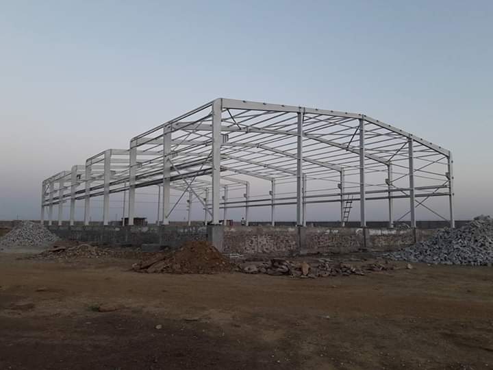 Kota rajasthan bird free shed 1